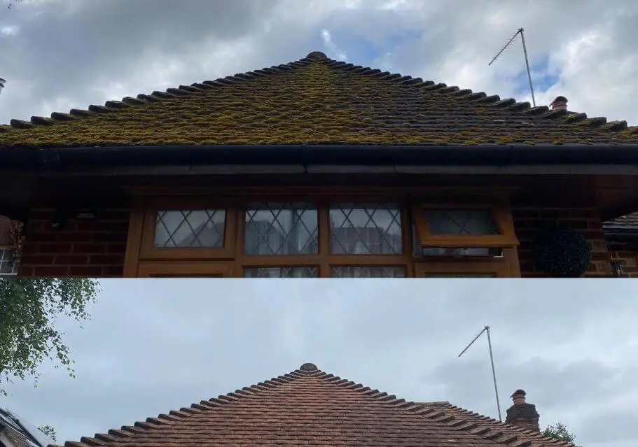 Bungalow roof before and after moss removal