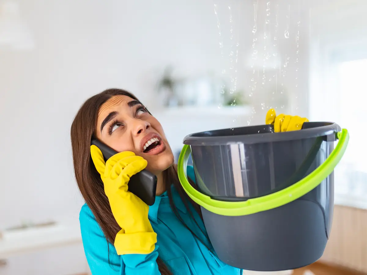 Homeowner catching a roof leak in a bucket while phoning for help